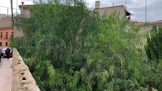 Terreno en venta en Orihuela ciudad en Orihuela