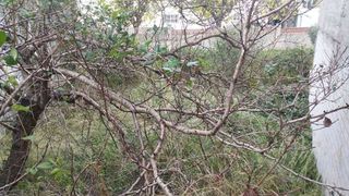 Solar en venta en Sant Joan-Vilarromà en Palamós