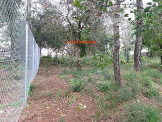 Terreno en venta en La Floresta - Les Planes en Sant Cugat del Vallès
