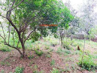 Terreno en venta en La Floresta - Les Planes en Sant Cugat del Vallès