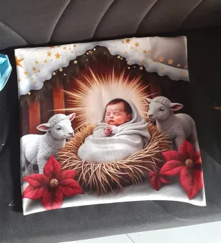 2 Federe Cuscini Velluto Natale