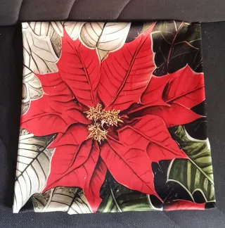 2 Federe Cuscini Velluto Natale