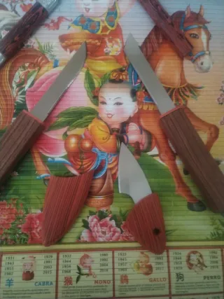 Set coltelli piccoli collezione legno metallo