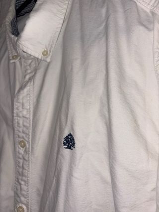 Camisa Springfield Blanca