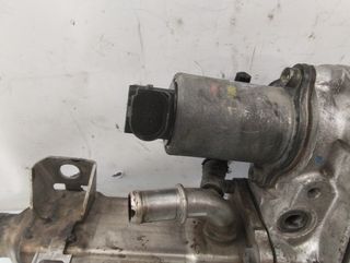 1751093 7000750405t válvula egr peugeot scenic ii