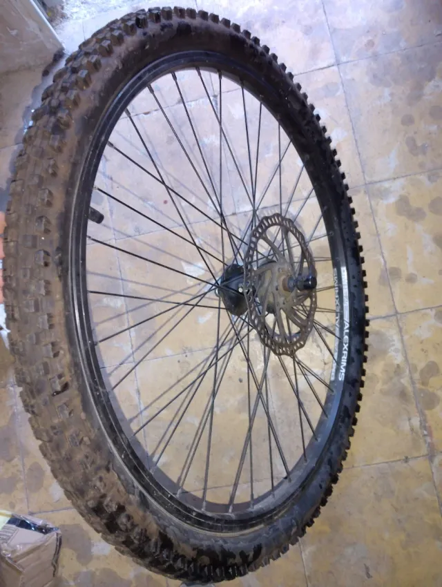 Rueda de Bicicleta Kenda Alexrims