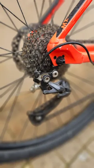 Orbea MX 40 29 Talla L