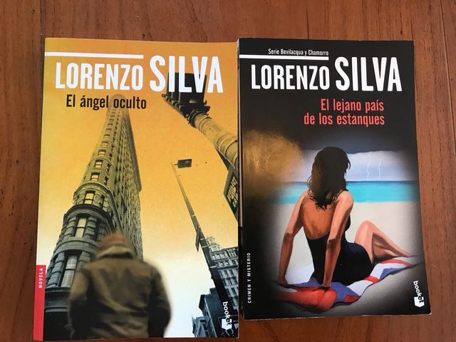 EL ÁNGEL OCULTO+ EL LEJANO PAÍS DE LOS ESTANQUES