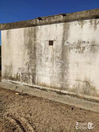 Finca Rústica en Algemesí