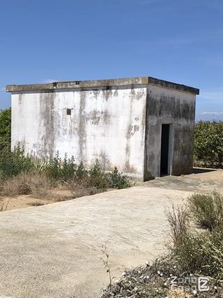 Finca Rústica en Algemesí