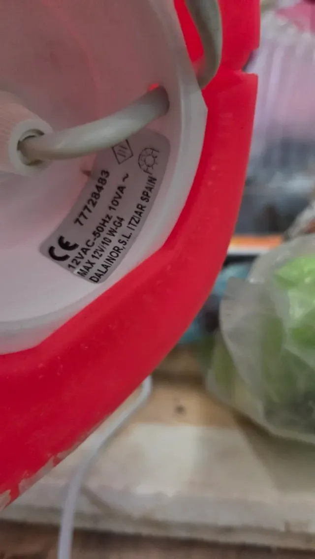 Lampada da Tavolo Design Orso Rosso