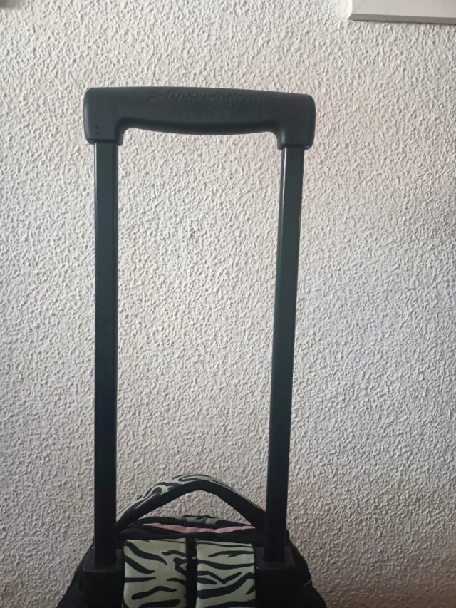 Mochila con ruedas grandes