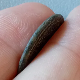 Espectacular Moneda Romana Severo Alejandro