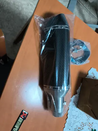 Tubo de escape Akrapovič carbono