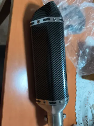 Tubo de escape Akrapovič carbono