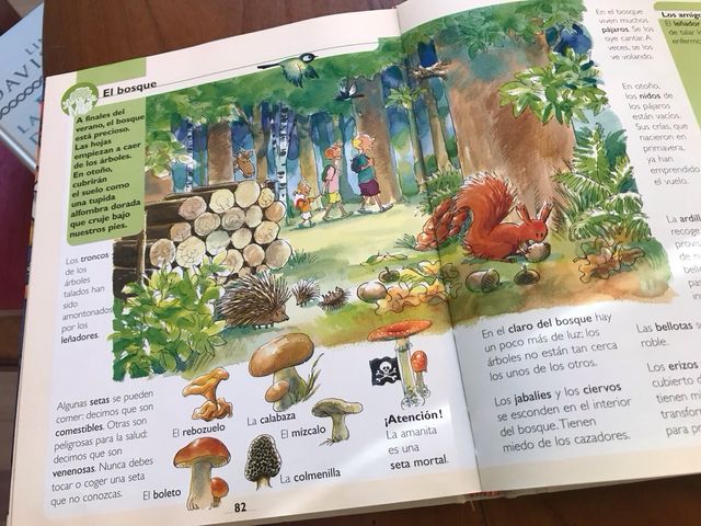 Tu primera Enciclopedia (COLECCION TU PRIMER VO...