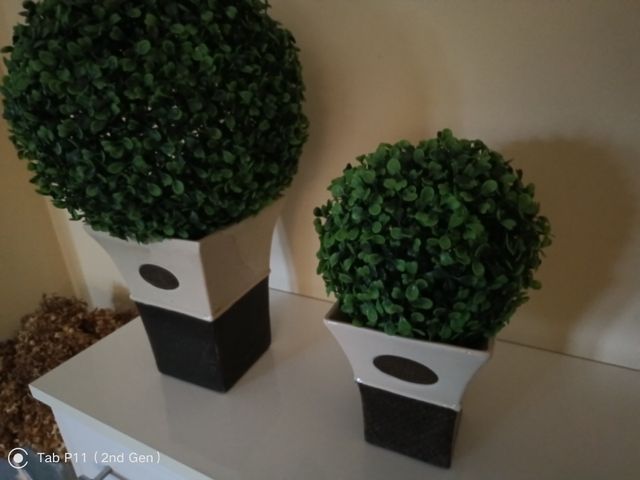 Conjunto de 2 jarrones decorativos