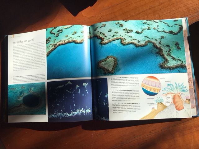 Océanos (Spanish Edition)