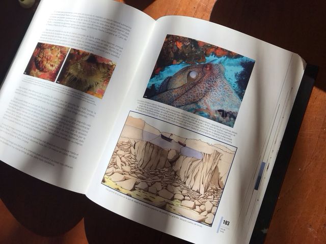 Bucear en el último confín de Europa, la isla d...