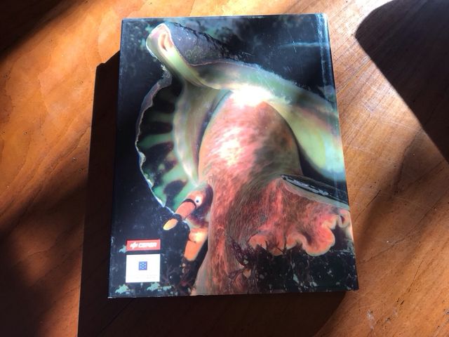 Bucear en el último confín de Europa, la isla d...