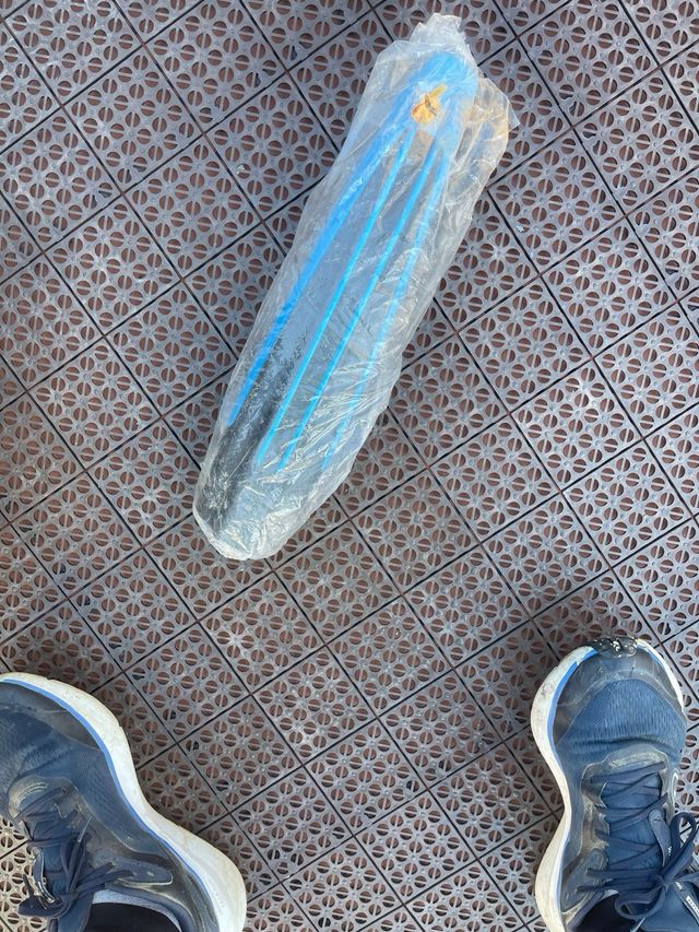 Cesta perro y guardabarros bici