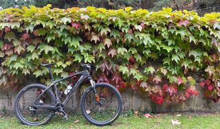 Bicicleta BH BTT L Carbono