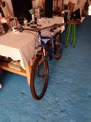 Bicicleta de Montaña Azul