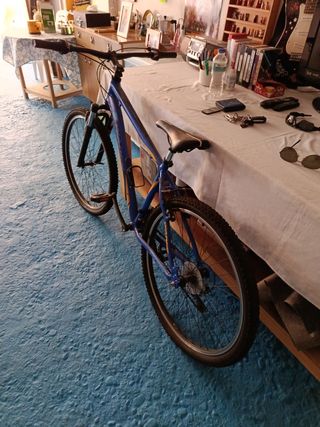 Bicicleta de Montaña Azul