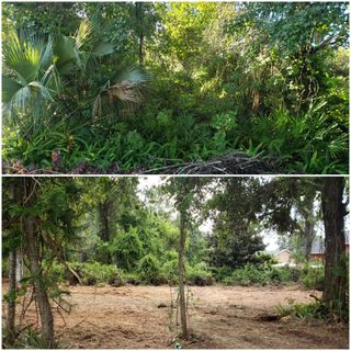 Limpieza de Parcelas y Terrenos (BCN)