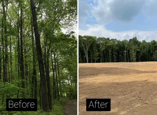 Limpieza de Parcelas y Terrenos (BCN)