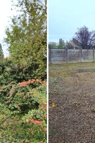 Limpieza de Parcelas y Terrenos (BCN)