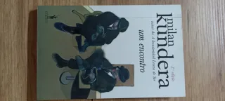 Um Encontro (Portuguese Edition)