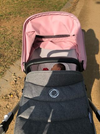 Carrito Bugaboo Fox 2 gris y rosa