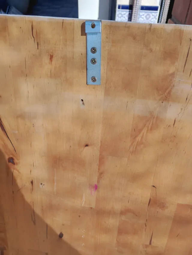 Tabla decorativa tigre pintado