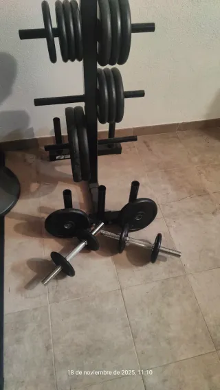 Set di manubri e dischi per palestra con supporto