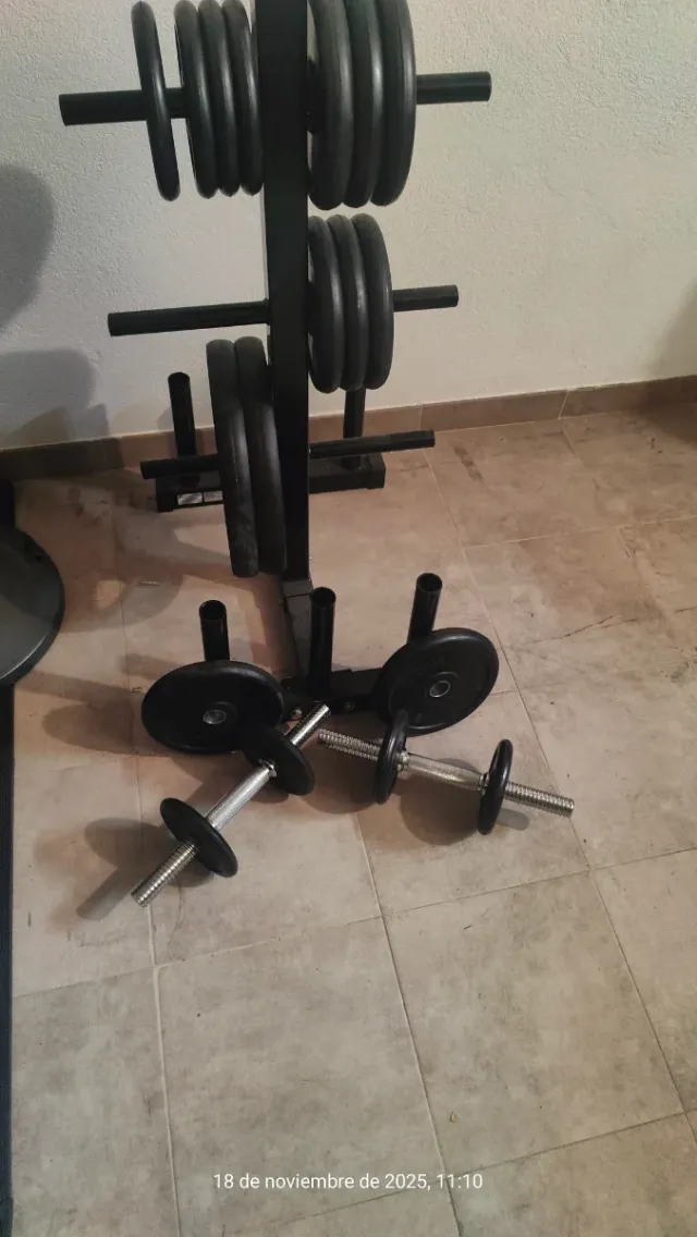 Juego Mancuernas y Discos Gimnasio Más soporte