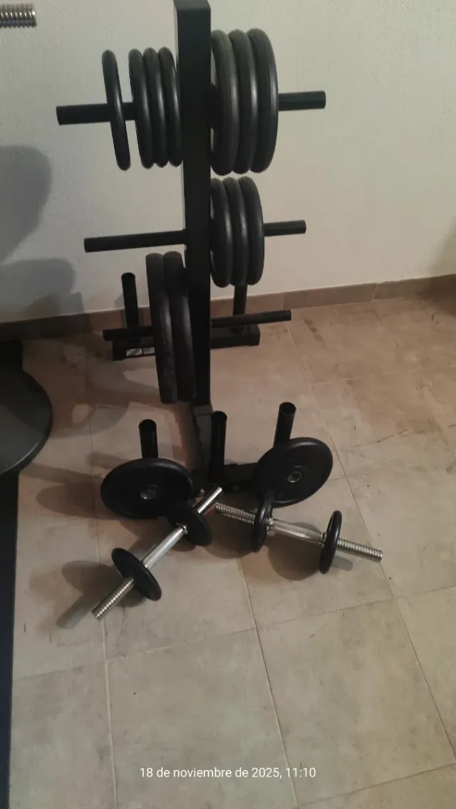 Juego Mancuernas y Discos Gimnasio Más soporte