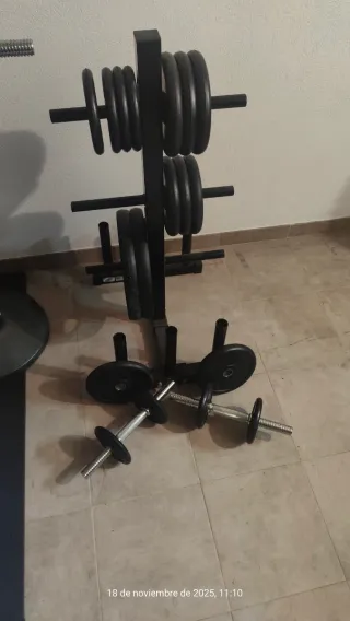 Set di manubri e dischi per palestra con supporto