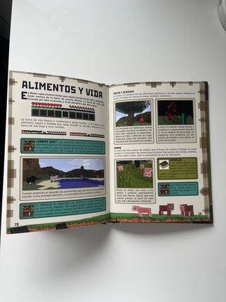 Guía Básica Minecraft