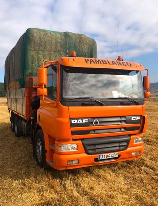 se Camion Daf con Grua