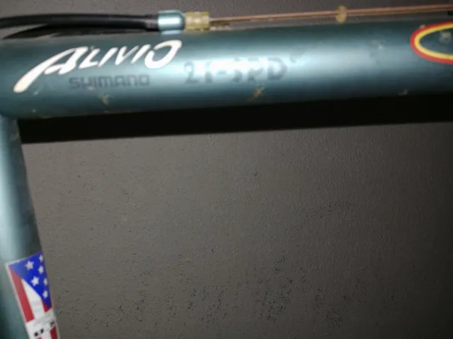 Bicicleta de montaña verde