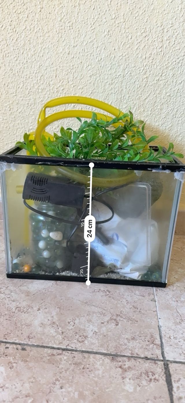 Pecera con accesorios