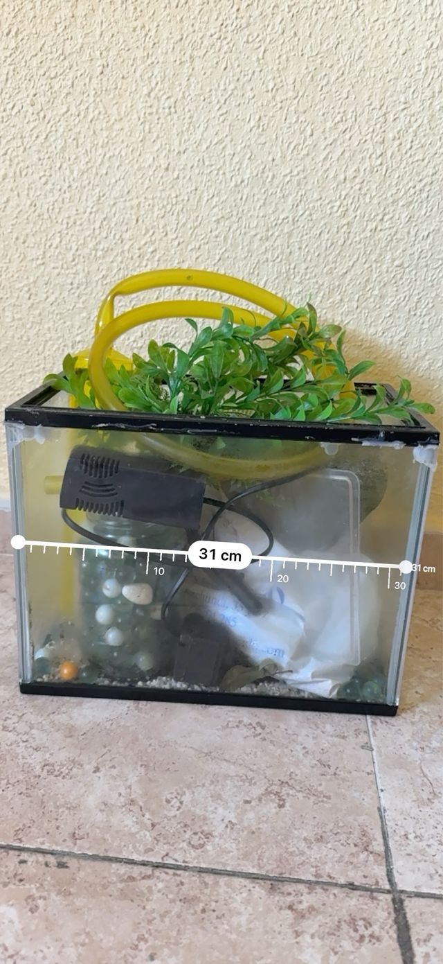 Pecera con accesorios