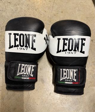 Saco de boxeo piel de bufalo + guantes.