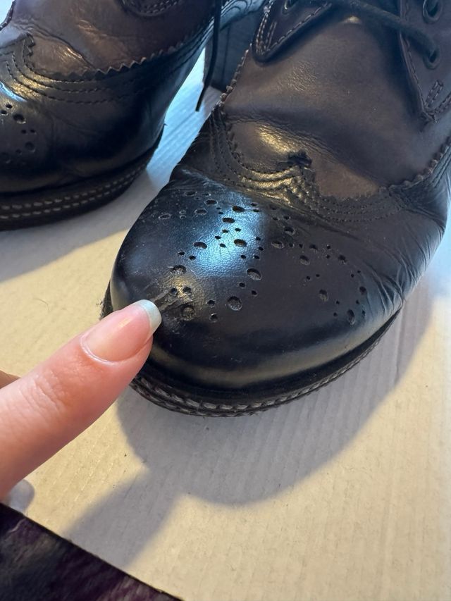 Zapatos Francesco Morichetti Negros/Marrones