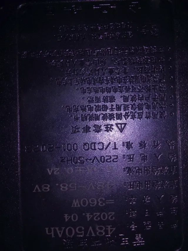 Cargador Batería Bicicleta Eléctrica 48V 50Ah