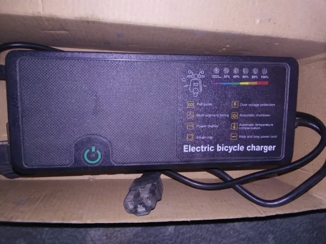 Cargador Batería Bicicleta Eléctrica 48V 50Ah