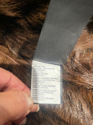 Parka WILD ARTIC Beige con Capucha