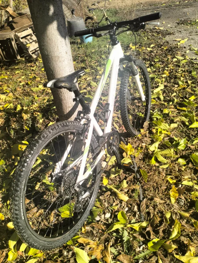 Bicicleta Orbea 24 BTT