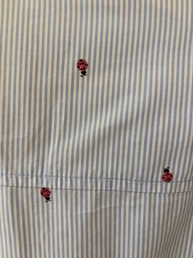 Camisa Zara rayas y mariquitas azul